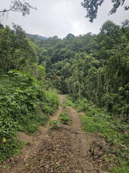 Finca de 180 cuerdas
