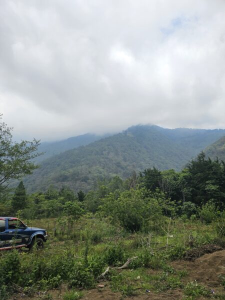 Finca de 180 cuerdas