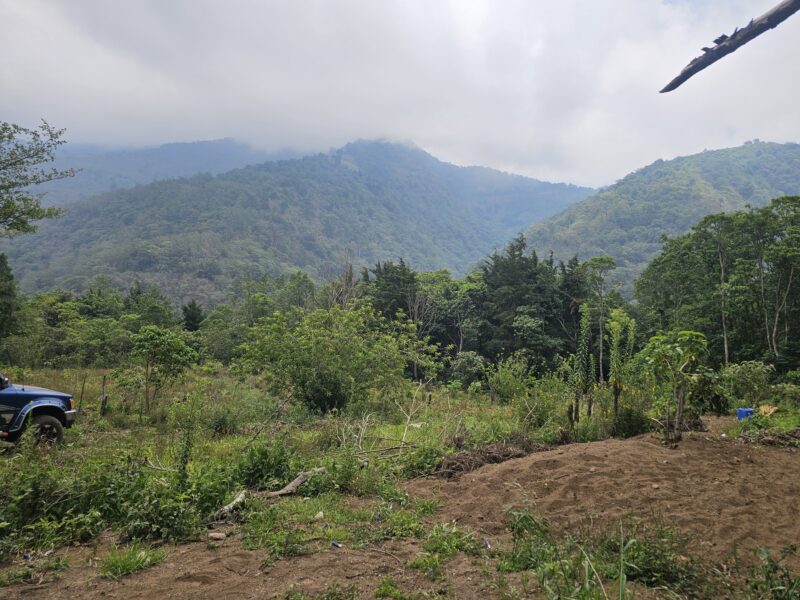 Finca de 180 cuerdas