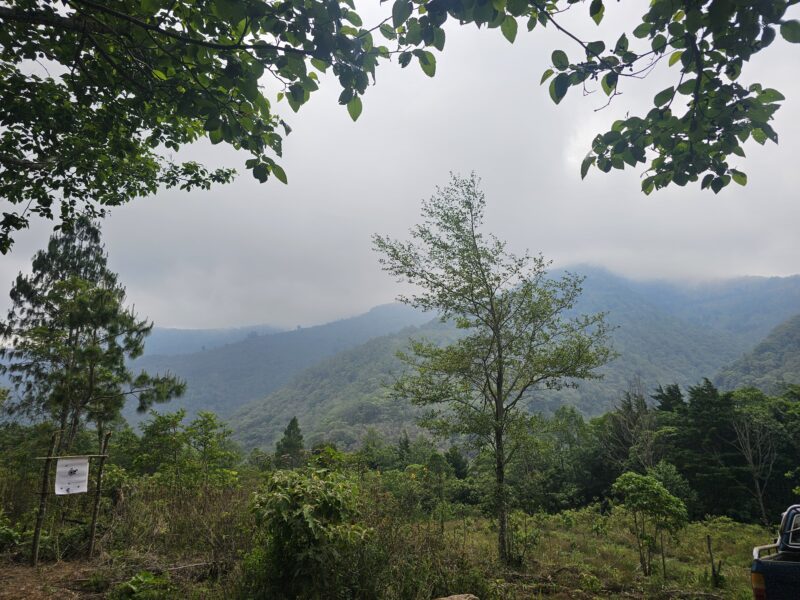 Finca de 180 cuerdas