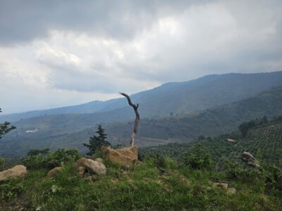 Finca de 180 cuerdas